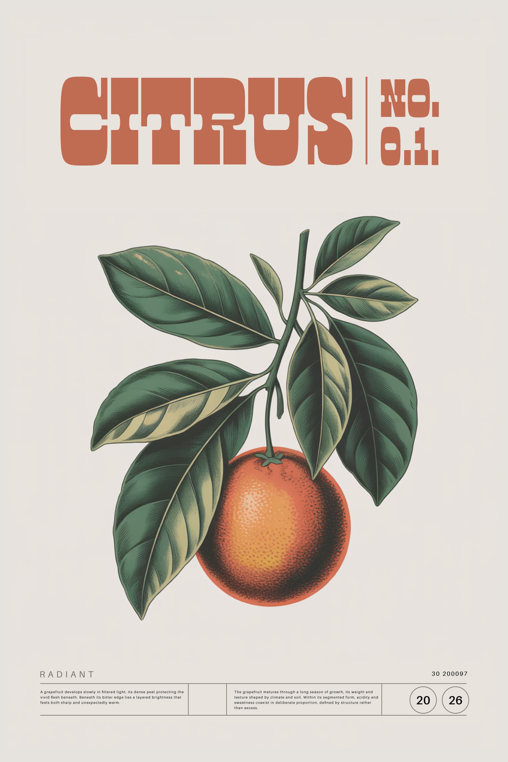 Citrus Study Poster Art