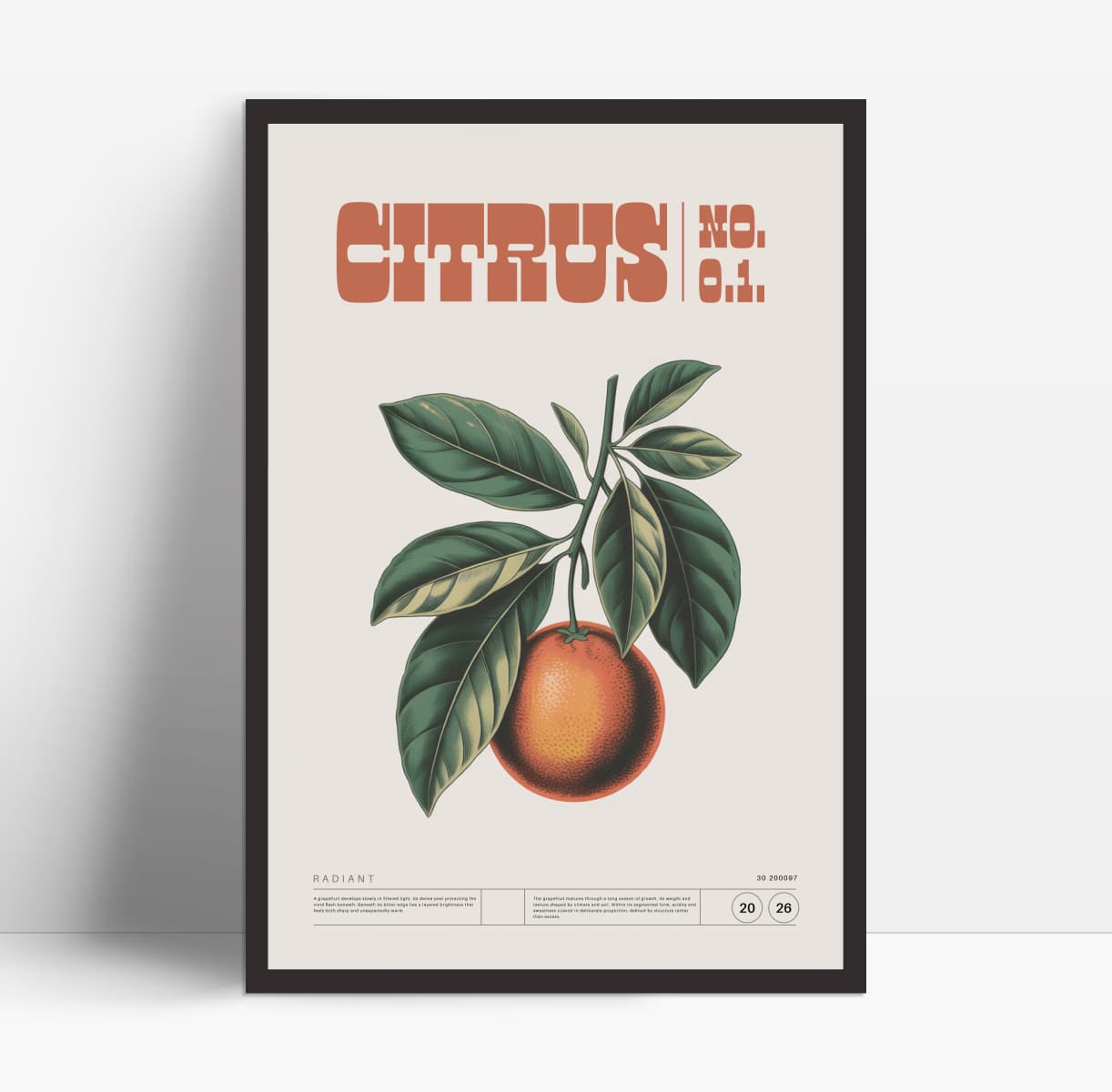 Citrus Study Poster Mockup